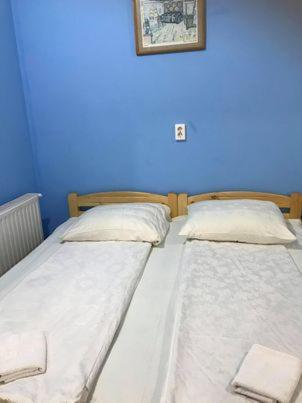 Bed and Breakfast Engi Panzio Ocna de Sus Zewnętrze zdjęcie