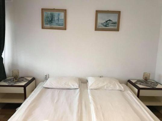 Bed and Breakfast Engi Panzio Ocna de Sus Zewnętrze zdjęcie